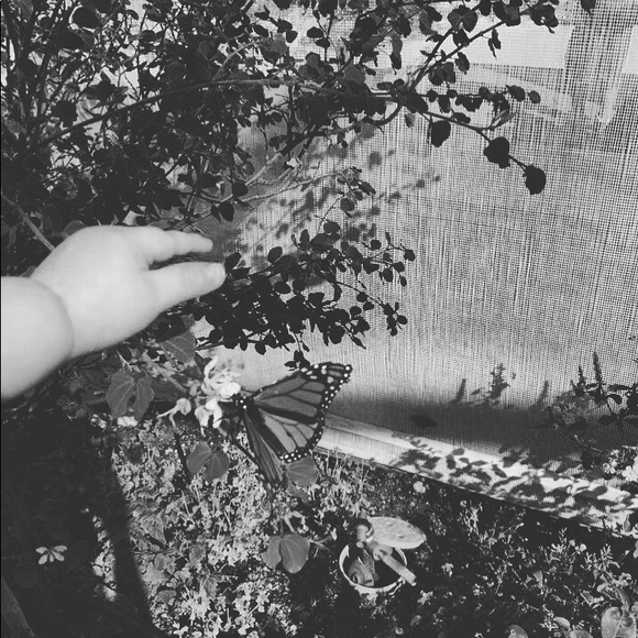 Meet your Posher, Diamond - Picture 6 of 8